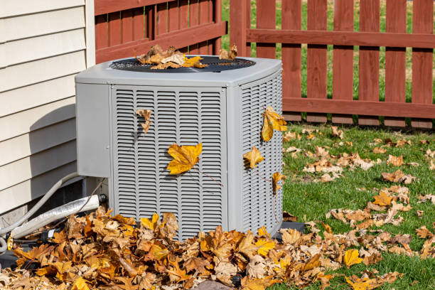 Best HVAC repair near me  in Pierz, MN