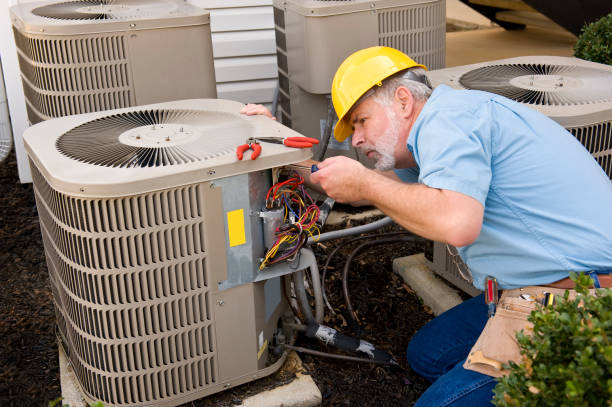 Best Best HVAC companies  in Pierz, MN